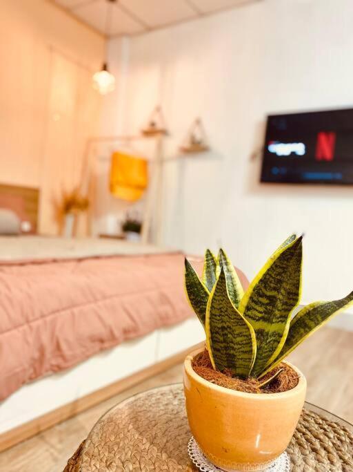 Lagom 18: Tranquil Haven Near Independence Palace Apartment *