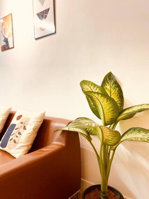 Lagom 18: Tranquil Haven Near Independence Palace Apartment